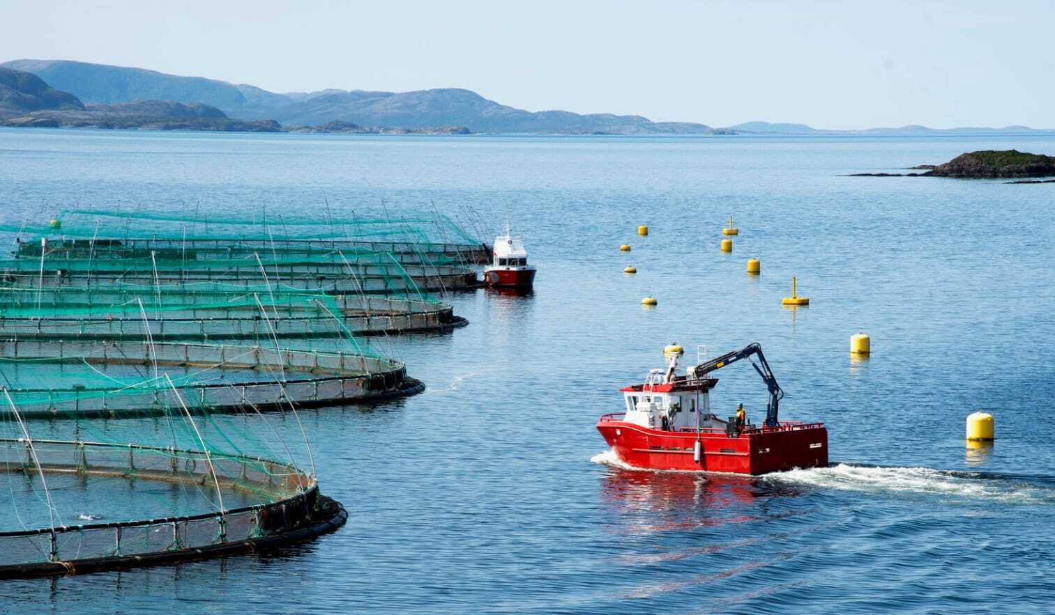 – Vi blir aldri rike nok til å tape penger på dårlig rente